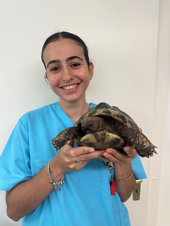 Inès Gomes tenant une tortue